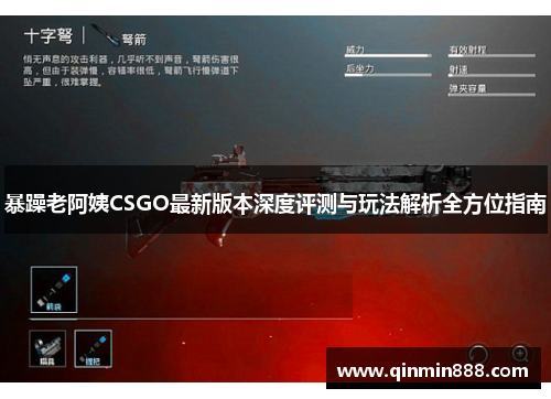 暴躁老阿姨CSGO最新版本深度评测与玩法解析全方位指南
