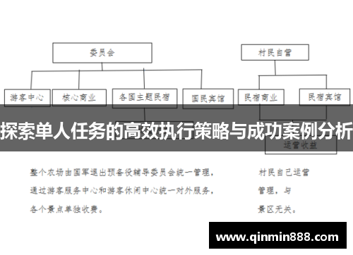 探索单人任务的高效执行策略与成功案例分析